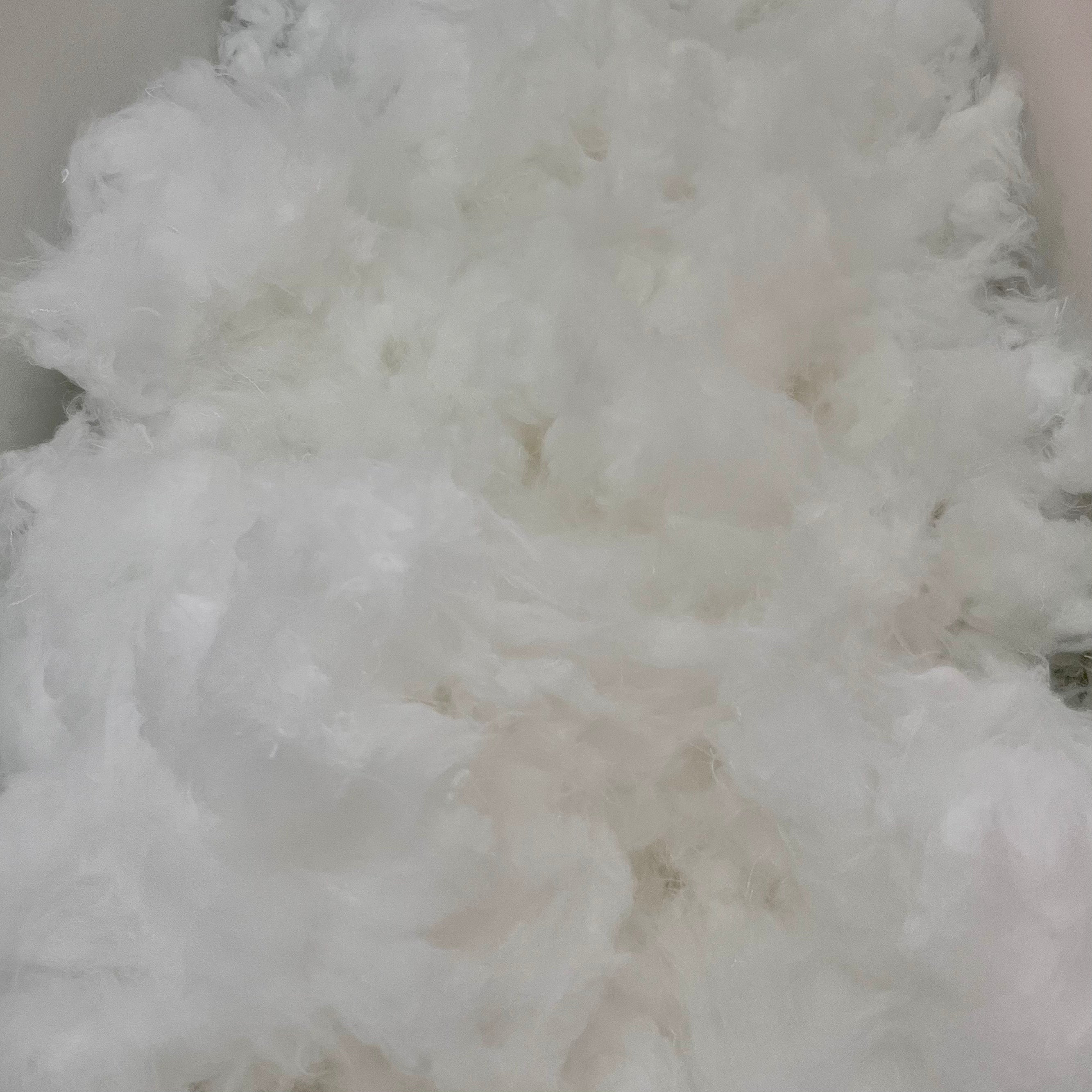 Fluff My Pillow!